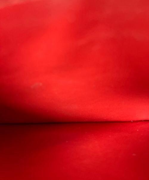 SUPREME（シュプリーム）Supreme (シュプリーム) Leather Zip Card Holder レッドの古着・服飾アイテム