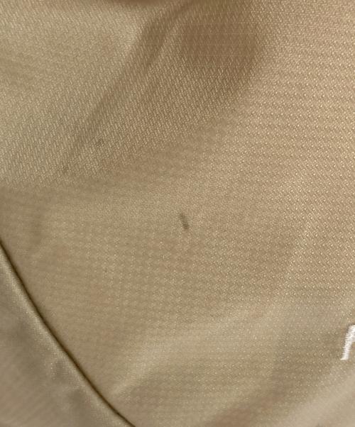 ARC'TERYX（アークテリクス）ARC'TERYX (アークテリクス) HELIAD 10 リュック ベージュの古着・服飾アイテム