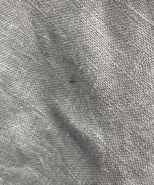 nest Robe（ネストローブ）nest Robe (ネストローブ) リネンワンピース スカイブルー サイズ:FREEの古着・服飾アイテム