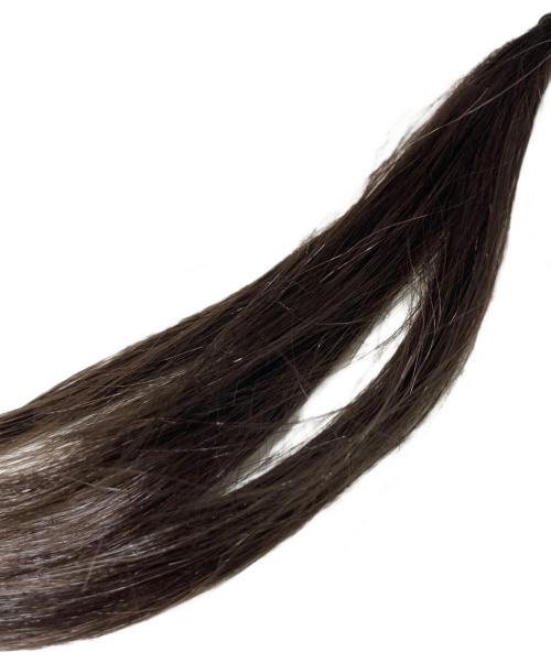 H&M（エイチアンドエム）H&M (エイチアンドエム) Maison Martin Margiela (メゾンマルタンマルジェラ) Hair look necklace ブラウンの古着・服飾アイテム