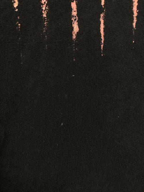 BIOTOP（ビオトープ）BIOTOP (ビオトープ) NINE INCH NAILS (ナイン・インチ・ネイルズ) 長袖カットソー ブラック サイズ:Lの古着・服飾アイテム