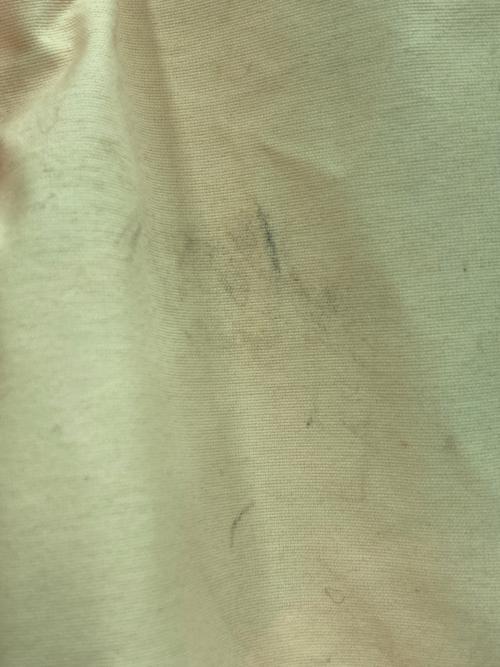 THE NORTH FACE（ザ ノース フェイス）THE NORTH FACE (ザ ノース フェイス) Supreme (シュプリーム) 17SS Trans Antarctica Expedition Gore-Tex Pant イエロー サイズ:Mの古着・服飾アイテム