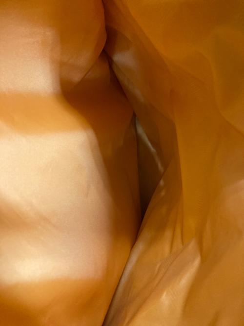 LeSportsac（レスポートサック）LeSportsac (レスポートサック) キルティング2WAYバッグ ブラックの古着・服飾アイテム