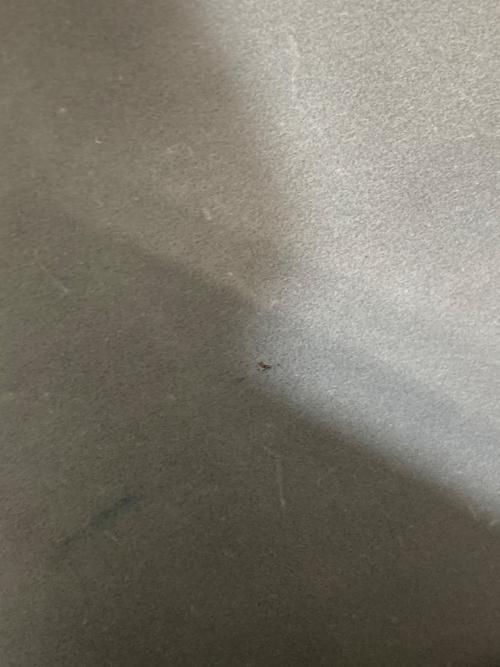 UNKNOWN PRODUCTS（アンノウン プロダクツ）UNKNOWN PRODUCTS (アンノウン プロダクツ) Ken Kagami (ケンカガミ) Leather Paper Bag ホワイトの古着・服飾アイテム