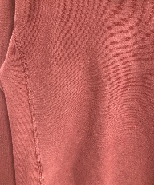 stussy（ステューシー）stussy (ステューシー) Champion (チャンピオン) アーチロゴパーカー レッド サイズ:Mの古着・服飾アイテム