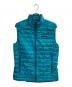 Patagonia（パタゴニア）の古着「NANO PUFF VEST」｜BELAY BLUE