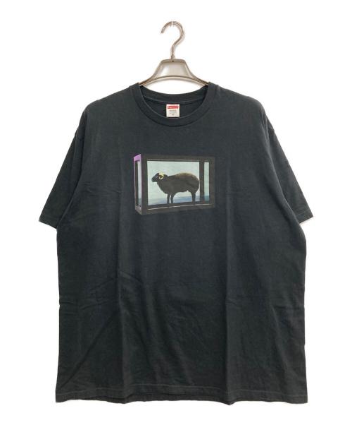 SUPREME（シュプリーム）Supreme (シュプリーム) Damien hirst tee ブラック サイズ:XLの古着・服飾アイテム