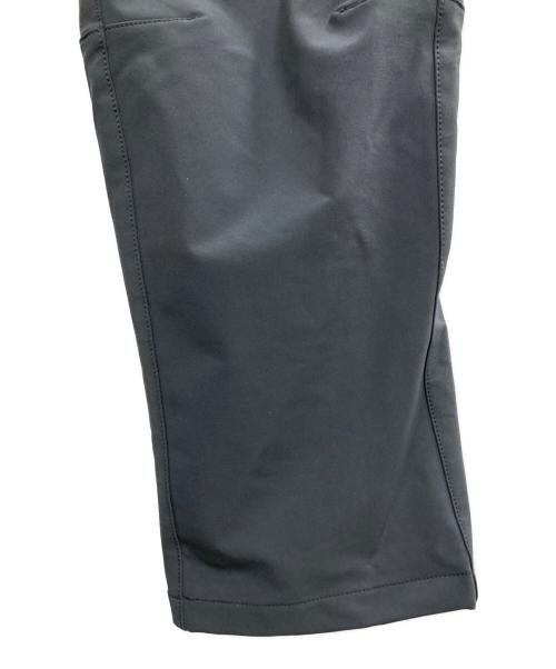 THE NORTH FACE（ザ ノース フェイス）THE NORTH FACE (ザ ノース フェイス) アルパインライトパンツ グレー サイズ:Lの古着・服飾アイテム