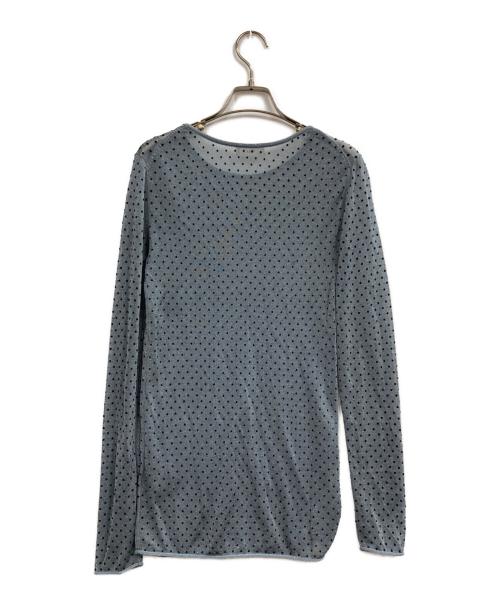 IENA（イエナ）IENA (イエナ) 25SS フロッキードット シアー プルオーバー ブルー サイズ:FREEの古着・服飾アイテム