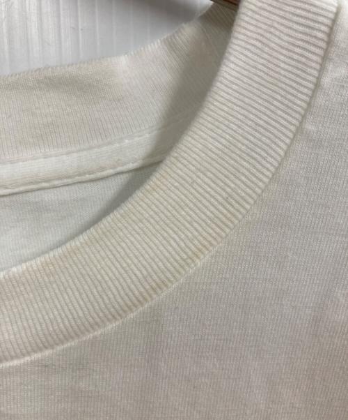THE NORTH FACE（ザ ノース フェイス）THE NORTH FACE (ザ ノース フェイス) SUPREME (シュプリーム) OneWorld Tee ホワイト サイズ:Lの古着・服飾アイテム