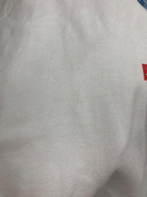 THE NORTH FACE（ザ ノース フェイス）THE NORTH FACE (ザ ノース フェイス) SUPREME (シュプリーム) OneWorld Tee ホワイト サイズ:Lの古着・服飾アイテム