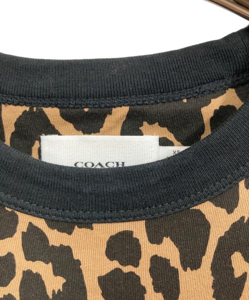 COACH（コーチ）COACH (コーチ) レオパード カーシヴ シグネチャー クロップド Tシャツ ブラウン サイズ:XSの古着・服飾アイテム