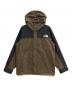 THE NORTH FACE（ザ ノース フェイス）の古着「Mountain Light Jacket」｜ブラウン