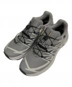 SALOMONサロモン）の古着「XT-EVR GTX M」｜グレー