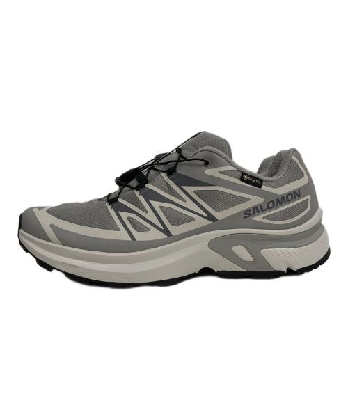 SALOMON（サロモン）SALOMON (サロモン) XT-EVR GTX M グレー サイズ:26㎝ 未使用品の古着・服飾アイテム
