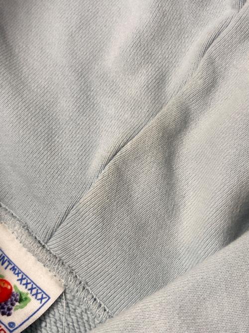 SAINT MICHAEL（セントマイケル）SAINT MICHAEL (セントマイケル) Hoodie Felt スカイブルー サイズ:Lの古着・服飾アイテム