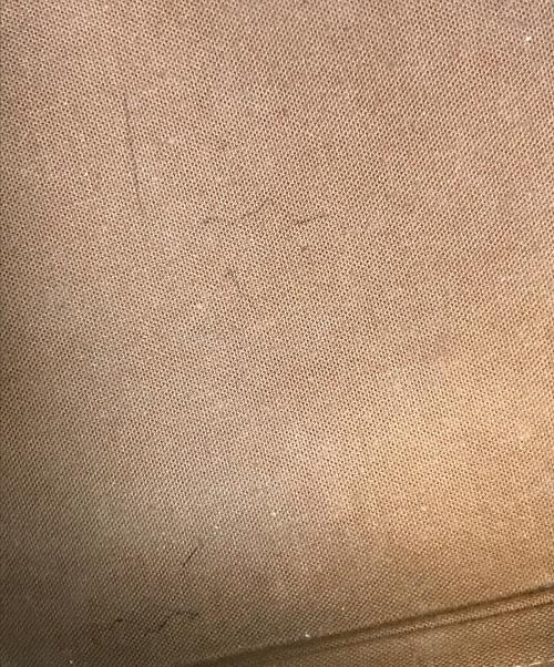 LOUIS VUITTON（ルイ ヴィトン）LOUIS VUITTON (ルイ ヴィトン) ハンドバッグ ベージュの古着・服飾アイテム
