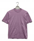 PALACE×ARC'TERYXパレス×アークテリクス）の古着「プリントTシャツ」｜ピンク