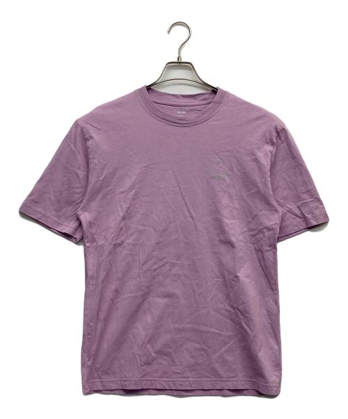 PALACE（パレス）PALACE (パレス) ARC'TERYX (アークテリクス) プリントTシャツ ピンク サイズ:Ｍの古着・服飾アイテム