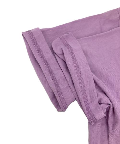 PALACE（パレス）PALACE (パレス) ARC'TERYX (アークテリクス) プリントTシャツ ピンク サイズ:Ｍの古着・服飾アイテム