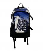 THE NORTH FACE×SUPREMEザ ノース フェイス×シュプリーム）の古着「Mountain Expedition Backpack」｜ブラック×ブルー