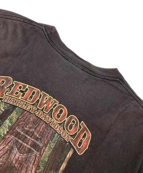 HARLEY-DAVIDSON（ハーレーダビッドソン）HARLEY-DAVIDSON (ハーレーダビッドソン) プリントTシャツ ブラック サイズ:XLの古着・服飾アイテム