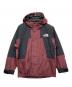 THE NORTH FACE（ザ ノース フェイス）の古着「レトロマウンテンライトジャケット」｜ボルドー