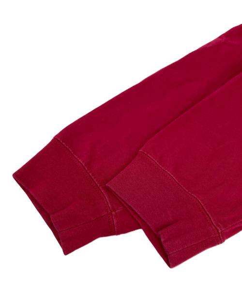 NIKE ACG（ナイキエーシージー）NIKE ACG (ナイキエージーシー) ロングスリーブカットソー レッド サイズ:Lの古着・服飾アイテム