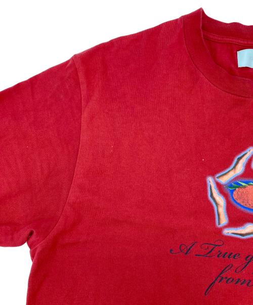 ICE&TECHNO（アイスアンドテクノ）ICE&TECHNO (アイス＆テクノ) プリントTシャツ レッド サイズ:Sの古着・服飾アイテム