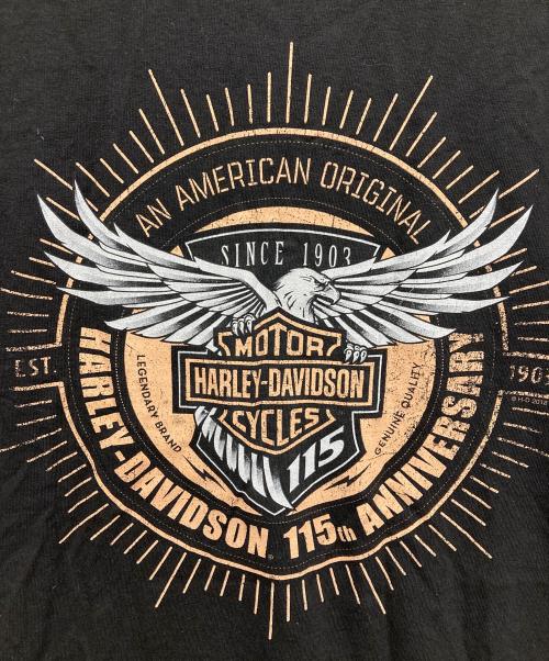 HARLEY-DAVIDSON（ハーレーダビッドソン）HARLEY-DAVIDSON (ハーレーダビッドソン) 両面プリントTシャツ ブラック サイズ:MEDIUMの古着・服飾アイテム