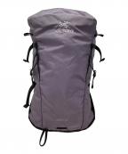 ARC'TERYXアークテリクス）の古着「Brize 25 Backpack」｜パープル