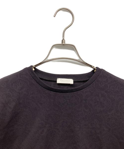 BALLSEY（ボールジィ）BALLSEY (ボールジィ) メッシュレース フレアスリーブプルオーバー ブラウン サイズ:Sの古着・服飾アイテム