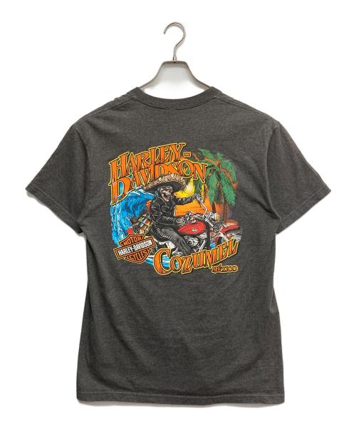 HARLEY-DAVIDSON（ハーレーダビッドソン）HARLEY-DAVIDSON (ハーレーダビッドソン) Tシャツ グレー サイズ:Lの古着・服飾アイテム