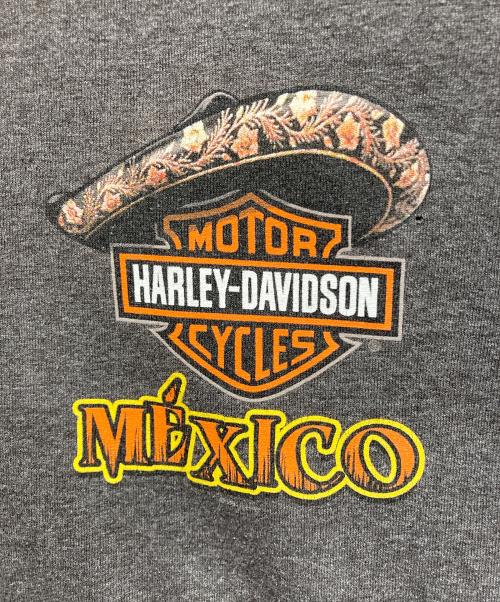 HARLEY-DAVIDSON（ハーレーダビッドソン）HARLEY-DAVIDSON (ハーレーダビッドソン) Tシャツ グレー サイズ:Lの古着・服飾アイテム
