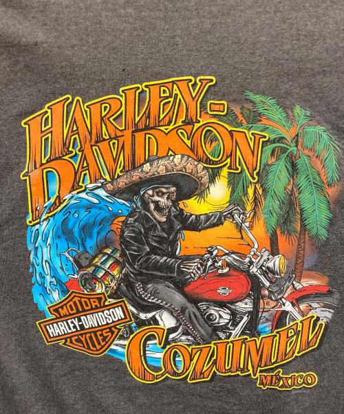 HARLEY-DAVIDSON（ハーレーダビッドソン）HARLEY-DAVIDSON (ハーレーダビッドソン) Tシャツ グレー サイズ:Lの古着・服飾アイテム