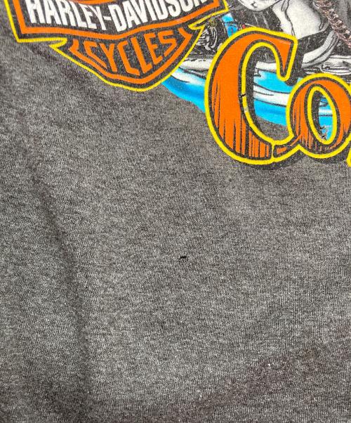 HARLEY-DAVIDSON（ハーレーダビッドソン）HARLEY-DAVIDSON (ハーレーダビッドソン) Tシャツ グレー サイズ:Lの古着・服飾アイテム