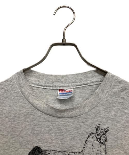 Hanes（ヘインズ）Hanes (ヘインズ) アニマルプリントTシャツ グレー サイズ:Mの古着・服飾アイテム