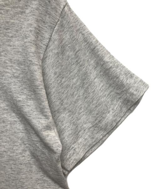 Hanes（ヘインズ）Hanes (ヘインズ) アニマルプリントTシャツ グレー サイズ:Mの古着・服飾アイテム