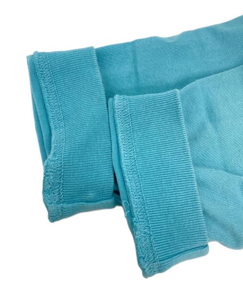 BUZZ RICKSON'S（バズリクソンズ）Buzz Rickson's (バズリクソンズ) PEANUTS (ピーナッツ) プリントカットソー ブルー サイズ:Lの古着・服飾アイテム