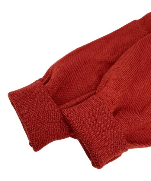 GRAN SASSO（グランサッソ）GRAN SASSO (グランサッソ) クルーネックニット レッド サイズ:Freeの古着・服飾アイテム