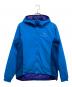ARC'TERYX（アークテリクス）の古着「ATOM AR HOODY」｜ブルー
