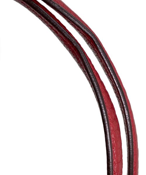 COACH（コーチ）COACH (コーチ) ハンドバッグの古着・服飾アイテム