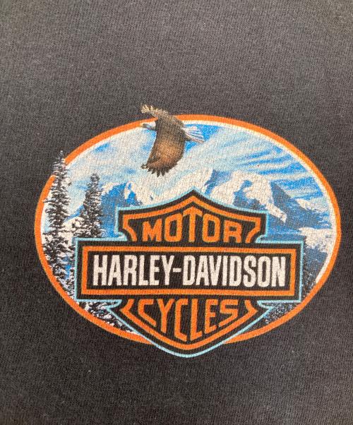 HARLEY-DAVIDSON（ハーレーダビッドソン）HARLEY-DAVIDSON (ハーレーダビッドソン) プリントTシャツ ブラック サイズ:2XLの古着・服飾アイテム