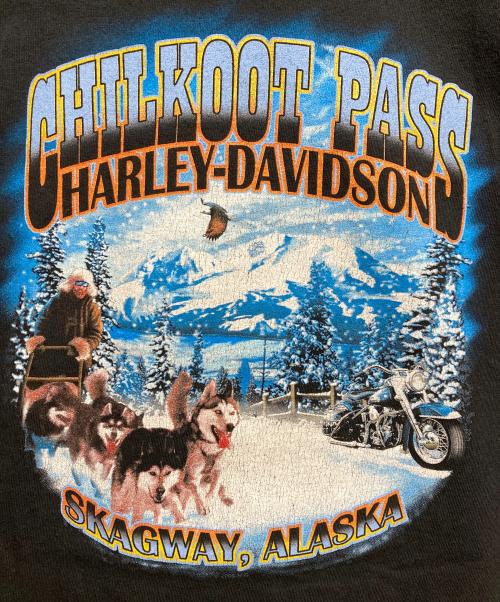 HARLEY-DAVIDSON（ハーレーダビッドソン）HARLEY-DAVIDSON (ハーレーダビッドソン) プリントTシャツ ブラック サイズ:2XLの古着・服飾アイテム