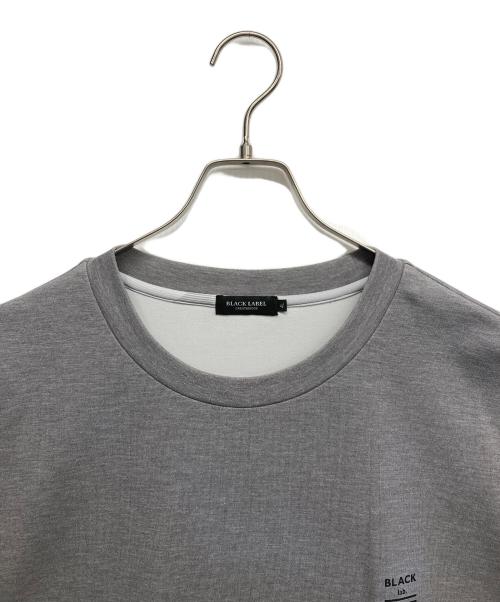 BLACK LABEL CRESTBRIDGE（ブラックレーベル クレストブリッジ）BLACK LABEL CRESTBRIDGE (ブラックレーベル クレストブリッジ) レーヨン混スウェット グレー サイズ:4Lの古着・服飾アイテム