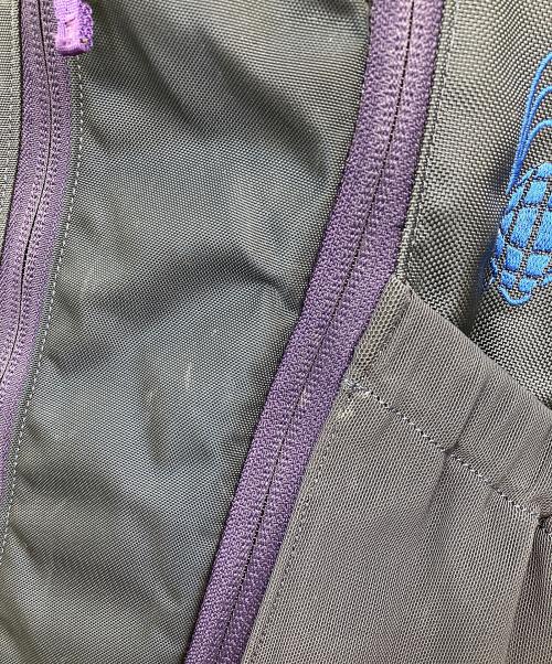 ARC'TERYX（アークテリクス）ARC'TERYX (アークテリクス) BEAMS (ビームス) MANTIS 26 BACKPACK ブルーの古着・服飾アイテム