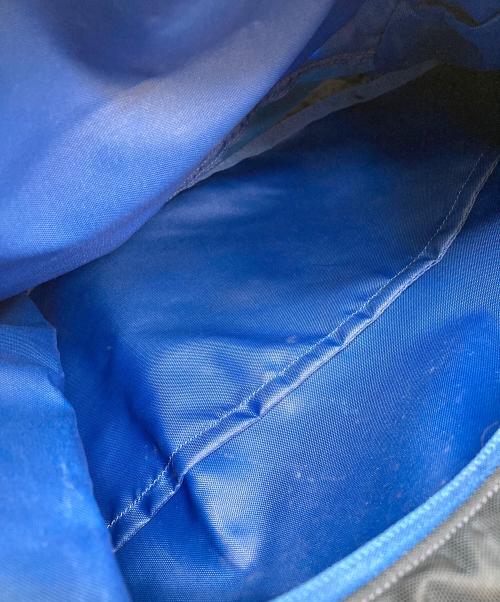 ARC'TERYX（アークテリクス）ARC'TERYX (アークテリクス) BEAMS (ビームス) MANTIS 26 BACKPACK ブルーの古着・服飾アイテム