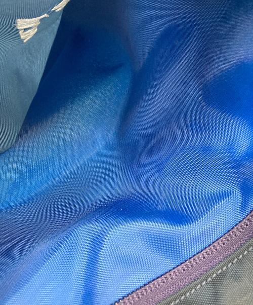 ARC'TERYX（アークテリクス）ARC'TERYX (アークテリクス) BEAMS (ビームス) MANTIS 26 BACKPACK ブルーの古着・服飾アイテム