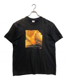 SUPREME（シュプリーム）の古着「butthole sufers Rembrandt Tシャツ」｜ブラック