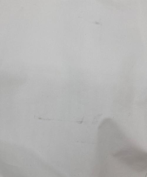 THE NORTH FACE（ザ ノース フェイス）THE NORTH FACE (ザ ノース フェイス) Undyed GTX Jacket ホワイト サイズ:XLの古着・服飾アイテム